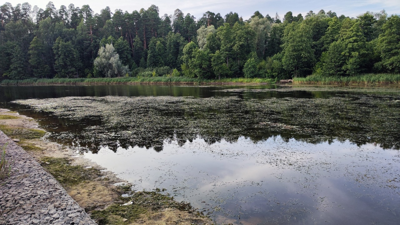 Река Сатис-1.jpg